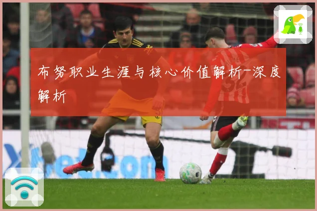 布努职业生涯与核心价值解析-深度解析